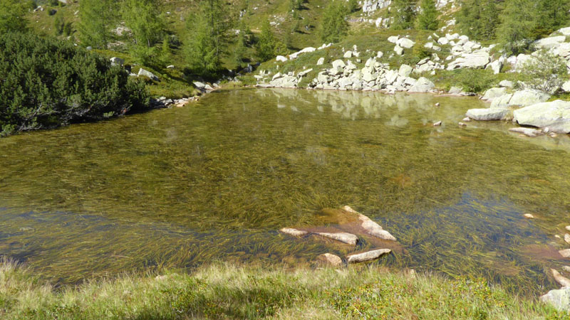 Laghi.......del TRENTINO